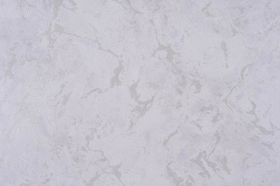 Обои дуплекс Славянские обои Gracia 5208-01 0,53x10,05 м 