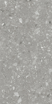 Плитка Terra Grey F P R Mat 60x120 см (2 сорт)