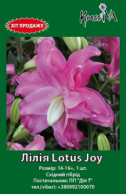 Луковица лилия Lotus Joy 1 шт. 