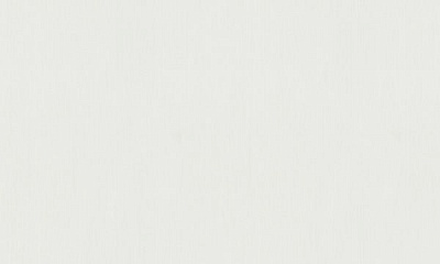 Шпалери вінілові на флізеліновій основі Erismann Fashion For Walls 2 12035-25 1,06x10,05 м