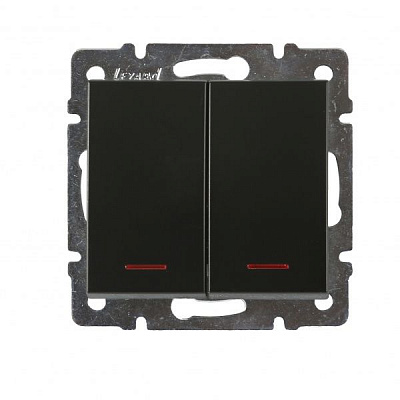 Вимикач двоклавішний Lezard Rain з підсвіткою 10 А 250В антрацит 703-4288-112