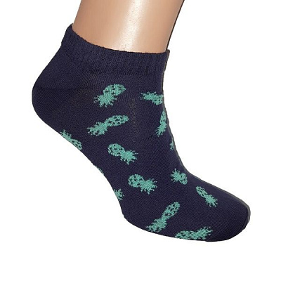 Шкарпетки чоловічі ZOZ Ананас р. 27 темно-синій 1 пар