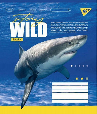 Зошит шкільний Stay wild А5/60 у клітинку YES