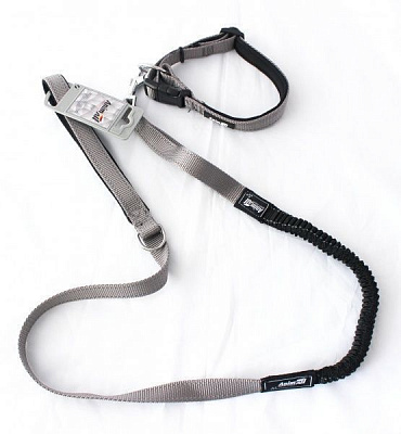 Ошейник с поводком AnimAll 20x1200 мм серый HL-LH 148