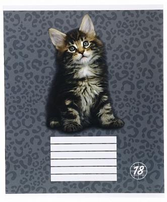 Зошит шкільний Kitten 18 аркушів лінія Nota Bene