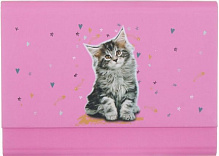 Папка-клатч Cat 1 А5 розовый