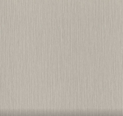 Шпалери вінілові на флізеліновій основі RASCH Metal Spirit 977257 1,06x10,05 м