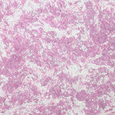 Рідкі шпалери Bioplast 311 1 кг