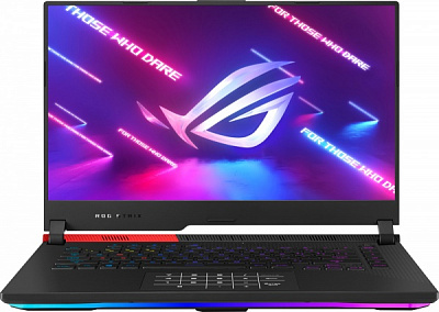 Ноутбук Asus G513IH-HN065 15