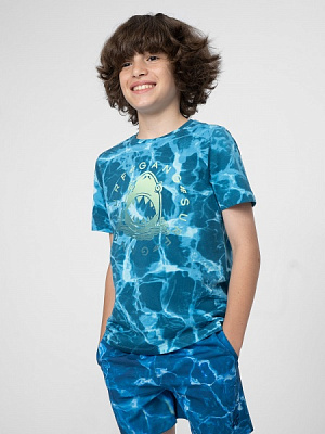 Футболка 4F 4FJSS23TTSHM283-95A р.164 разноцветный