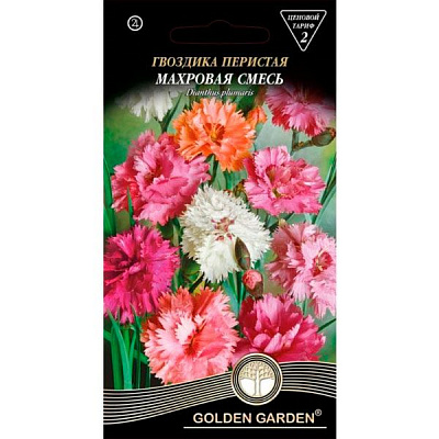 Семена Golden Garden Гвоздика Перистая Махровая Смесь (Голден Гарден) (4820164123812) 0.3 г