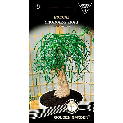 Семена Golden Garden Нолина Слоновья нога 4 шт