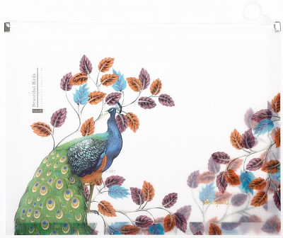 Папка с пластиковой застежкой А4 P0085 в ассортименте Bourgeois 