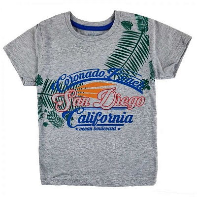 Футболка для мальчиков San Diego San Diego р.122 серый 