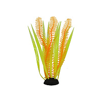 Декорація Deming Елодея + Валліснерія