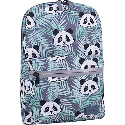 Рюкзак молодежный Bagland сублимация 764 (508664)