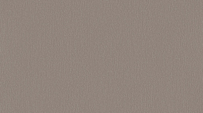 Шпалери вінілові на флізеліновій основі Sintra BOTANICA,TIMBERLAND UNI 524374 1,06x10,05 м