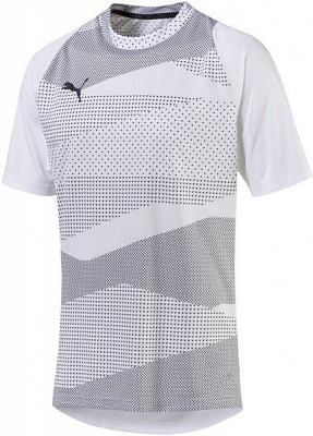Футболка Puma ftblNXT Graphic Shirt Core 65578101 M серый