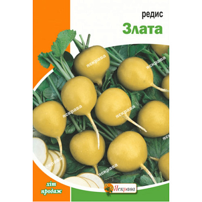 Семена Яскрава редис Злата