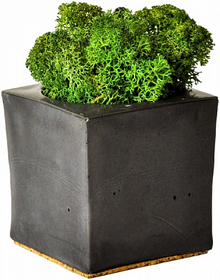 Кашпо квадратное Cube темно-серый бетон