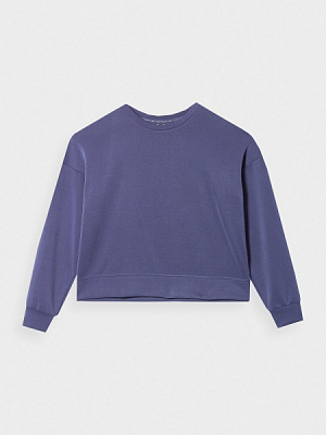 Світшот 4F SWEATSHIRT F0814 4FSS23TSWSF0814-30S р. XS фіолетовий
