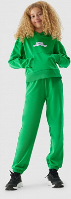 Брюки 4F TROUSERS CAS F426 4FJAW23TTROF426-41S р. 152 фиолетовый