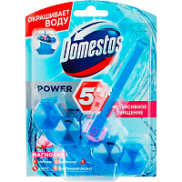 Туалетный блок Domestos Power 5 Видимая защита Цветочный букет 53 г 