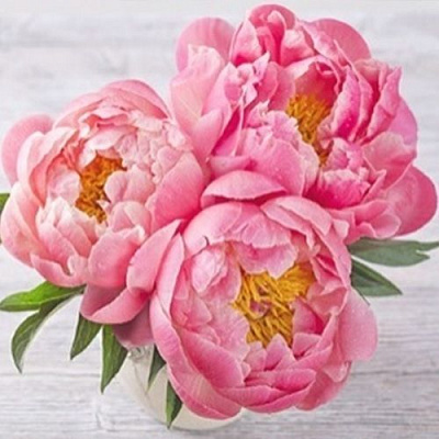 Набір для творчості зі стразами на підрамнику Півонії 30x30 см Діамантові ручки