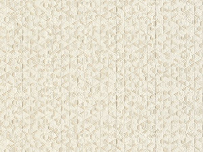 Шпалери вінілові на паперовій основі Слов'янські шпалери Expromt Оріон 5759-06 0,53x10,05 м