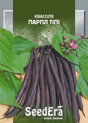 Семена Seedera фасоль спаржевая кустовая Парпл Типи 20г