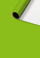 Папір для пакування STEWO Uni Plain light green 70x200 см 