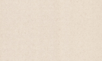 Шпалери вінілові на флізеліновій основі Bravo 81800BR02 1,06x10,05 м