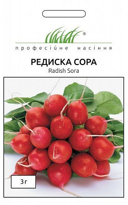 Насіння Професійне насіння редиска Сора 3г (4823058207100)