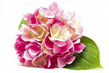 Цветок искусственный Гортензия розовая 42 см 630584