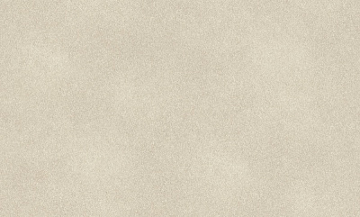 Шпалери вінілові на флізеліновій основі RASCH Fiesta 973013 1,06x10,05 м