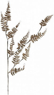 Гілочка декоративна Папороть 60 см SA9645S3