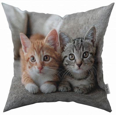 Подушка декоративная Рижик и лили 45x45 см с принтом La Nuit