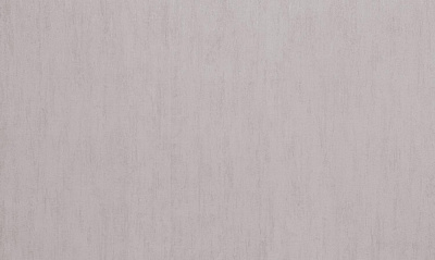 Шпалери вінілові на флізеліновій основі WallCOLOR W 152 C 02 1,06x10,05 м