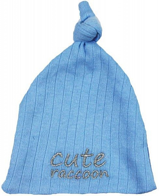 Шапочка дитяча Danaya з вишивкою р.50 блакитний ЗО20-77/2