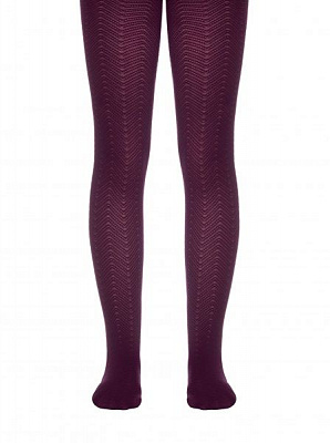 Колготки детские для девочек Conte Elegant нарядные Nancy р.116-122 баклажановый 