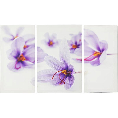 Картина-модульная на холсте MK012 3 части