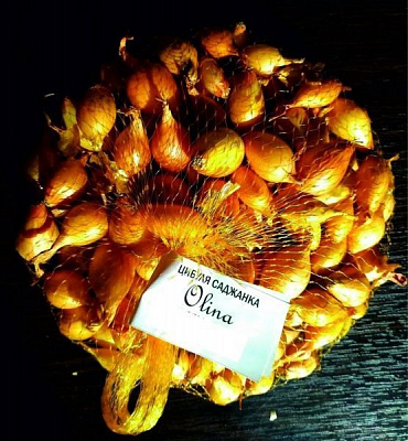 Семена Агросвіт лук репчатый севок Olina 21/24 1000г (2210893590016)