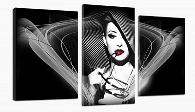Картина модульная Гламур 481 акц. 100x53 см 