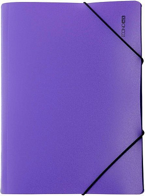 Папка E31633 А4 Economix