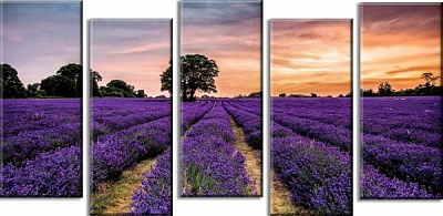 Картина модульная 60x123 см M5 FV-356 