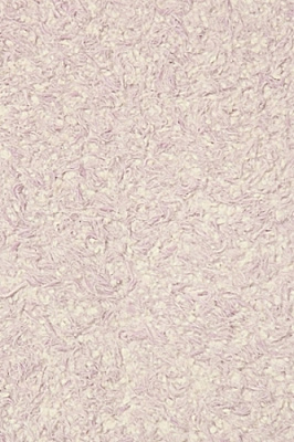 Рідкі шпалери Bioplast 8721 1 кг