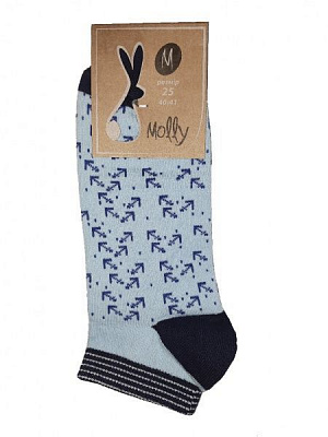 Шкарпетки Молли Небесні Стріли р. 27 різнокольоровий 1 пар