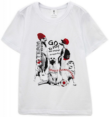 Футболка для мальчиков Роза р.146 белый 210106 