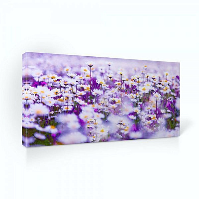 Репродукция Поле ромашек. Daisies 96x48 см i_96x48_00058 