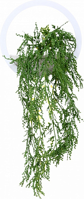 Декор настенный NCircle d20 белый